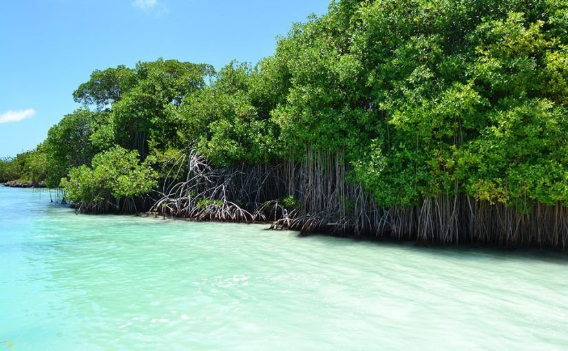 Villa SAMANA Vacaciones