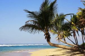 vacaciones increíbles en la República Dominicana Villa Samaná